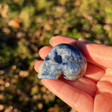 Sodalite Skull