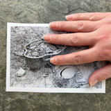 Fisk Exhumation Photo Set of 5: Matted 4x6