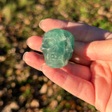 Fluorite Skull A