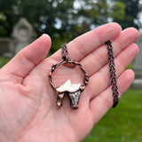 Coyote Tooth Necklace