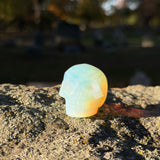 Opalite Skull
