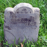 Lizzie 1688