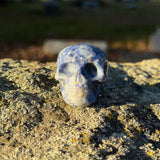 Sodalite Skull