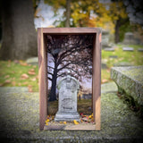 Memento Mortem Shadow Box Magnet/Wall Hang G