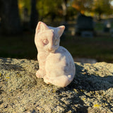 Carved Dolomite Kitty