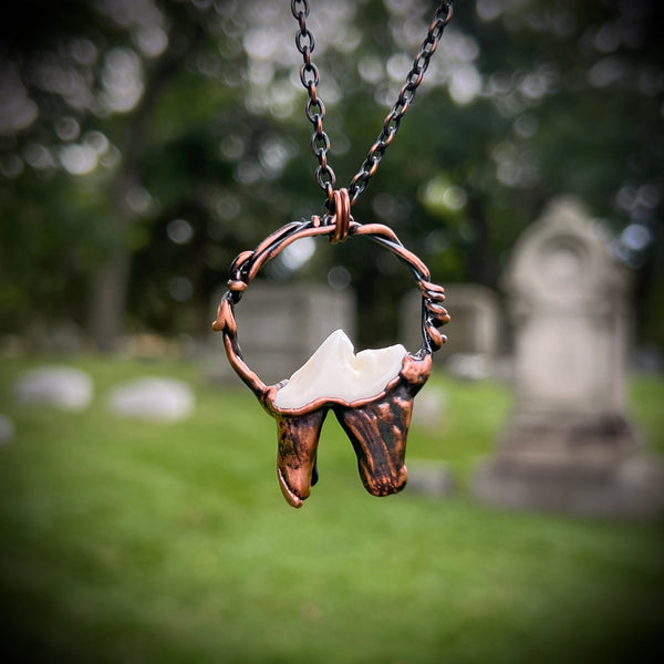 Coyote Tooth Necklace