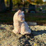 Carved Dolomite Kitty