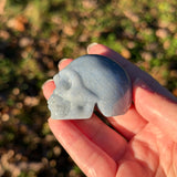 Angelite Skull