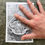 Fisk Exhumation Photo Set of 3, Photos B, D and E: Matted 4x6