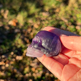 Fluorite Skull B