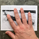 Fisk Exhumation Photo Set of 3, Photos B, D and E: Matted 4x6