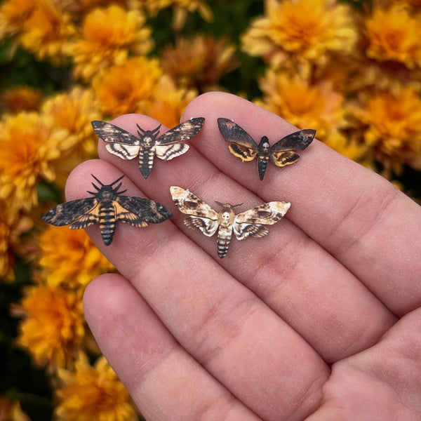 ***PRE-ORDER***Surprise Tiny Deaths Head Moth Glittery Copper Necklace (Read Description)